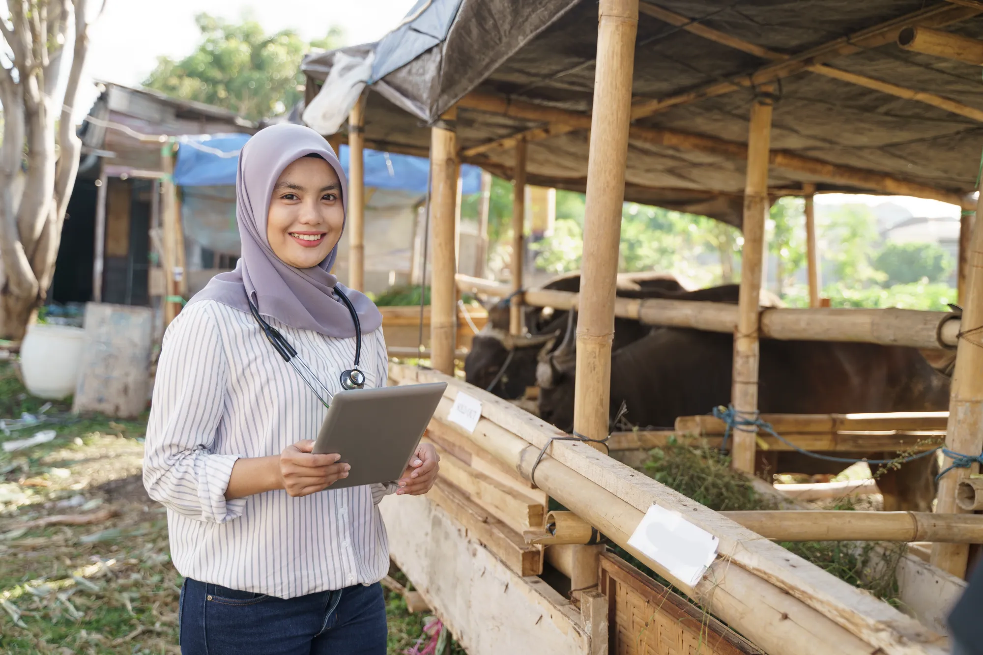 Training in Indonesia