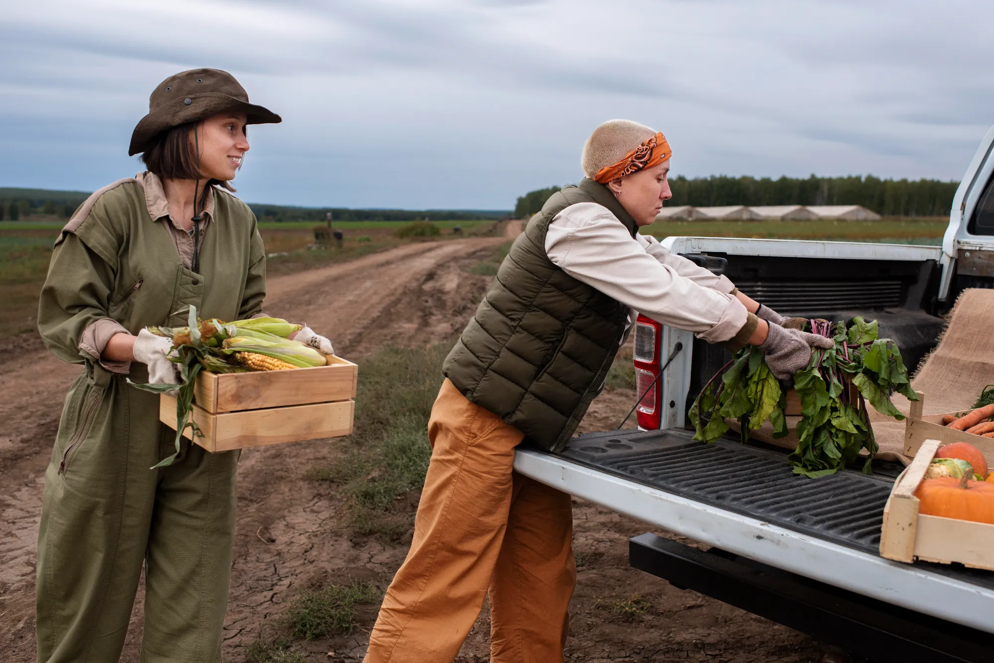 Agriculture Compliance